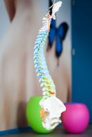 Top hernia oefeningen: verlichting en versterking voor een sterke rug